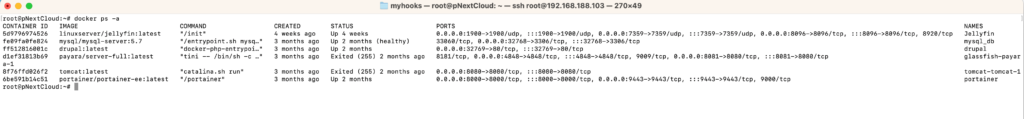 docker ps -a - Zeigt alle Container an, sowohl laufende als auch gestoppte